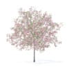 Fruit Trees 3D Models Collection - Volume 95 - Image 27
