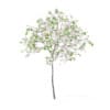 Fruit Trees 3D Models Collection - Volume 95 - Image 33