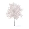 Fruit Trees 3D Models Collection - Volume 95 - Image 39