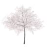Fruit Trees 3D Models Collection - Volume 95 - Image 42