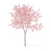 Fruit Trees 3D Models Collection - Volume 95 - Image 45