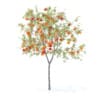 Fruit Trees 3D Models Collection - Volume 95 - Image 46