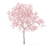 Fruit Trees 3D Models Collection - Volume 95 - Image 48