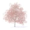 Fruit Trees 3D Models Collection - Volume 95 - Image 54