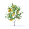 Fruit Trees 3D Models Collection - Volume 95 - Image 70