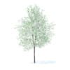Fruit Trees 3D Models Collection - Volume 95 - Image 78