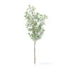 Apple Tree with Flowers 3D Model 2.7m (9502) - Image 5