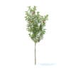 Apple Tree with Fruits 3D Model 2.7m (9503) - Image 4
