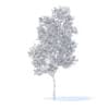 Apple Tree with Flowers 3D Model 3.8m (9505) - Image 2
