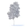 Apple Tree with Fruits 3D Model 3.8m (9506) - Image 2