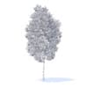 Apple Tree with Fruits 3D Model 3.8m (9506) - Image 8