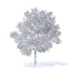Apple Tree with Flowers 3D Model 3.7m (9508) - Image 8