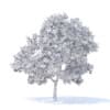 Apple Tree with Fruits 3D Model 3.7m (9509) - Image 2