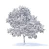 Apple Tree with Fruits 3D Model 3.7m (9509) - Image 6