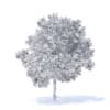 Apple Tree with Fruits 3D Model 3.7m (9509) - Image 8