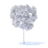 Pear Tree 3D Model 2.4m (9510) - Image 8