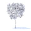 Pear Tree with Fruits 3D Model 2.4m (9512) - Image 4