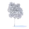 Pear Tree with Fruits 3D Model 3.7m (9515) - Image 4
