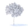 Plum Tree 3D Model 2m (9519) - Image 2