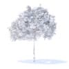Plum Tree 3D Model 2m (9519) - Image 4