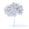 Plum Tree with Fruits 3D Model 2m (9521) - Image 6