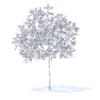 Plum Tree with Flowers 3D Model 3.2m (9523) - Image 2