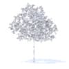 Plum Tree with Flowers 3D Model 3.2m (9523) - Image 4