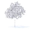 Plum Tree with Fruits 3D Model 3.2m (9524) - Image 2