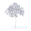 Cherry Tree with Flowers 3D Model 2.5m (9532) - Image 6