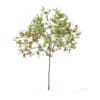 Cherry Tree with Fruits 3D Model 2.5m (9533) - Image 3