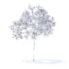 Cherry Tree with Fruits 3D Model 2.5m (9533) - Image 4