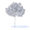 Cherry Tree 3D Model 3.3m (9534) - Image 6