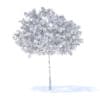 Cherry Tree with Flowers 3D Model 3.3m (9535) - Image 4