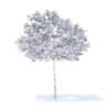 Cherry Tree with Fruits 3D Model 3.3m (9536) - Image 4