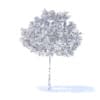 Cherry Tree with Fruits 3D Model 3.3m (9536) - Image 6