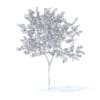 Peach Tree with Flowers 3D Model 2.3m (9544) - Image 2