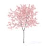 Peach Tree with Flowers 3D Model 2.3m (9544) - Image 5