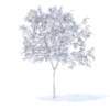 Peach Tree with Fruits 3D Model 2.3m (9545) - Image 2