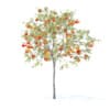 Peach Tree with Fruits 3D Model 2.3m (9545) - Image 3