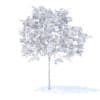 Peach Tree with Fruits 3D Model 2.3m (9545) - Image 4