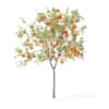Peach Tree with Fruits 3D Model 2.3m (9545) - Image 5