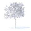 Peach Tree with Fruits 3D Model 2.3m (9545) - Image 6