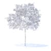 Peach Tree with Fruits 3D Model 2.3m (9545) - Image 8