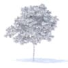 Peach Tree 3D Model 3m (9546) - Image 6