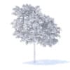 Peach Tree 3D Model 3m (9546) - Image 8