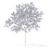 Peach Tree with Flowers 3D Model 3m  (9547) - Image 6