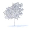 Peach Tree with Fruits 3D Model 3m  (9548) - Image 4