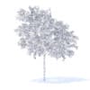 Peach Tree with Fruits 3D Model 3m  (9548) - Image 8