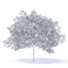 Peach Tree 3D Model 5.8m  (9549) - Image 4