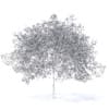 Peach Tree with Flowers 3D Model 5.8m  (9550) - Image 8